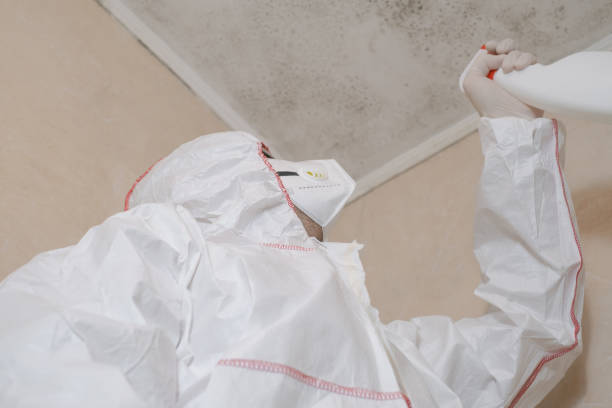 Certified Mold Removal in Excelsior Springs, MO