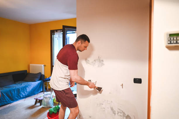 Best Crawl Space Mold Removal  in Excelsior Springs, MO